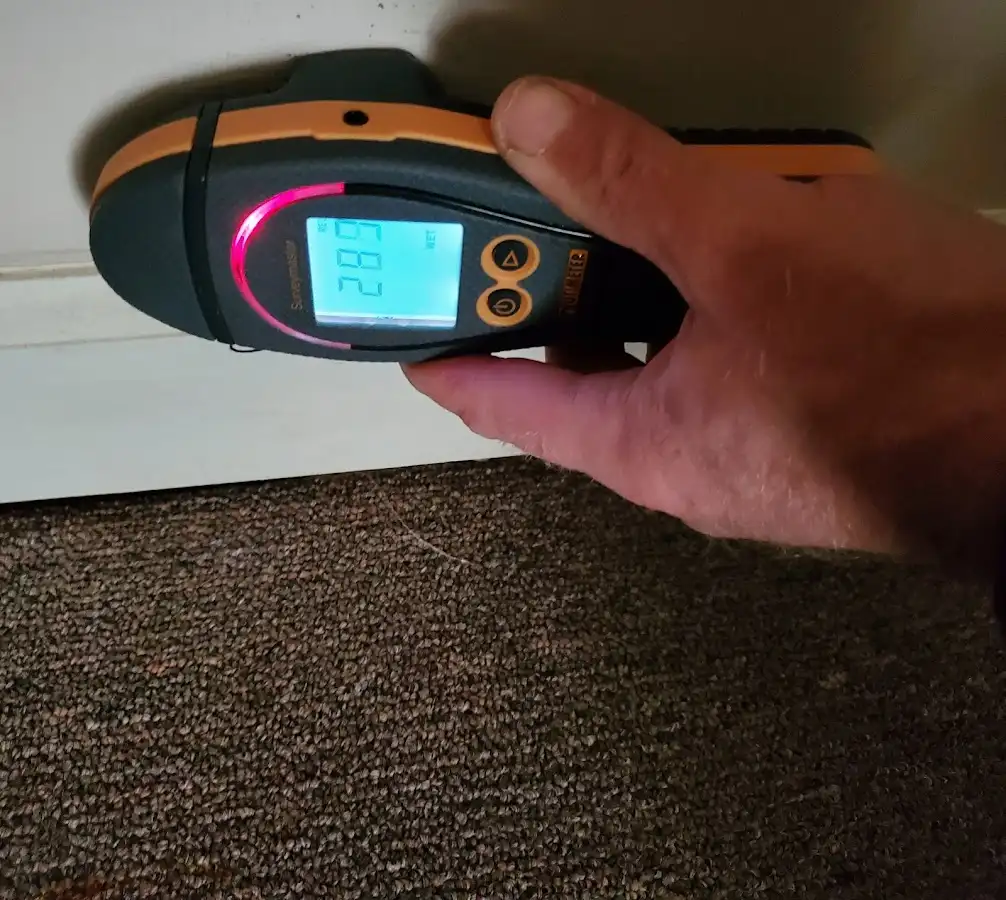 Moisture detection at baseboard during Sewage Cleanup & Sanitation in Perryville